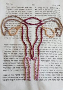 אביטל קירשנבוים