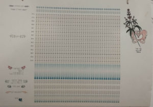 הרחם היא הבית הראשון שלך