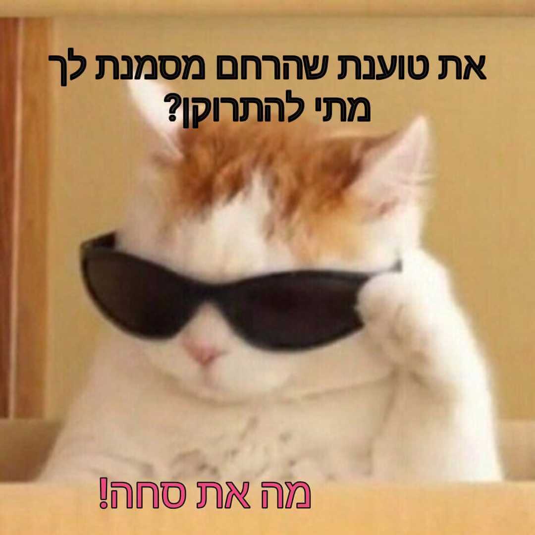 וסת המצאת המאה